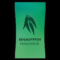 parfum pour spa gonflable eucalyptus