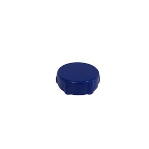 BOUCHON BLEU VANNE DE VIDANGE PISCINE BESTWAY