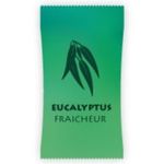 PARFUM-MONODOSE-SPA-EUCALYPTUS-10ML